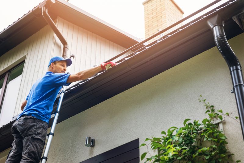Local Gutter Maintenance Providers