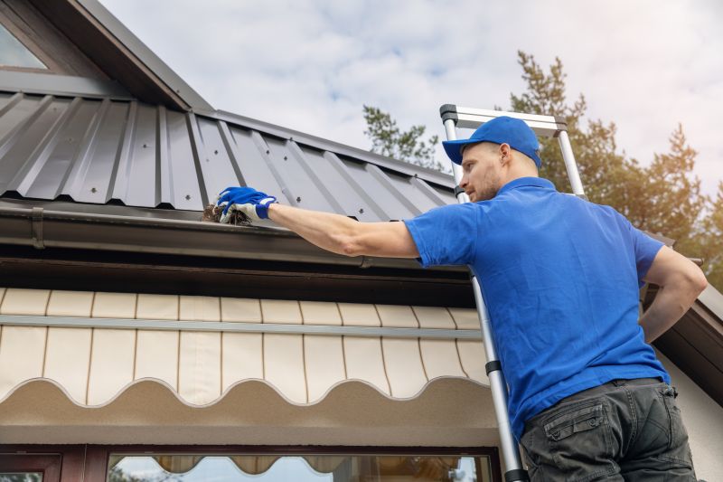 Benefits of Professional Gutter Service